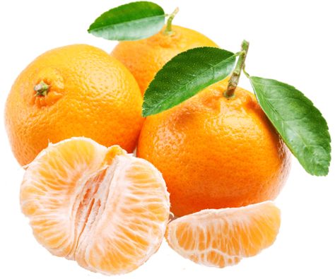 Satsuma Fruit, Mandarin Tree, Citrus Plant, Tangerine Essential Oil, Fruit Orange, Sweet Citrus, Fruit Seeds, Tree Seeds, Growing Fruit