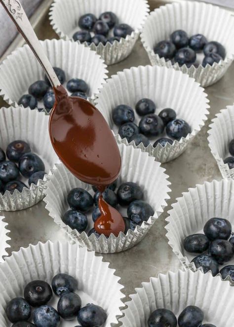 Snacks For The Beach Summer, Blueberry Truffles, Chocolate Covered Blueberries, Fruit Treats, Blueberry Chocolate, Chocolate Covered Fruit, Candy Recipes Homemade, Blueberry Recipes, Healthy Sweets Recipes