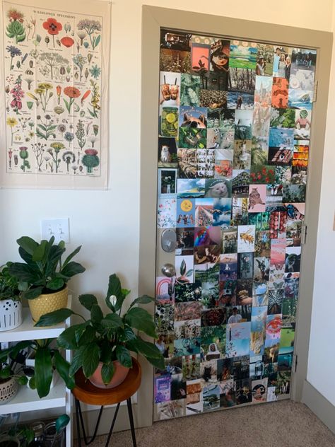 Closet Door Photo Collage, Picture Door Ideas, Door Collage Bedroom, Door Photo Collage, Door Collage, Birthday Door Decorations, Dorm Pictures, Cottagecore Room, College Room Decor