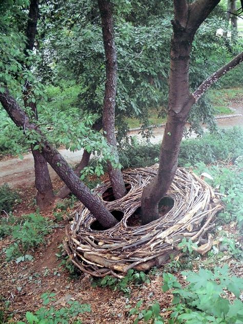 40 Stunning Land Art Installations - Bored Art Ephemeral Art, Andy Goldsworthy, Art In Nature, Natural Things, Greenhouse Gardening, Earth Art, Natural Art, Forest Art, Outdoor Sculpture