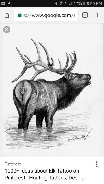 Elk Drawing, Elk Tattoo, Elk Pictures, Prehistoric Planet, Prehistoric Mammals, Black Elk, Hunting Tattoos, Nature Tattoo Sleeve, Scratchboard Art