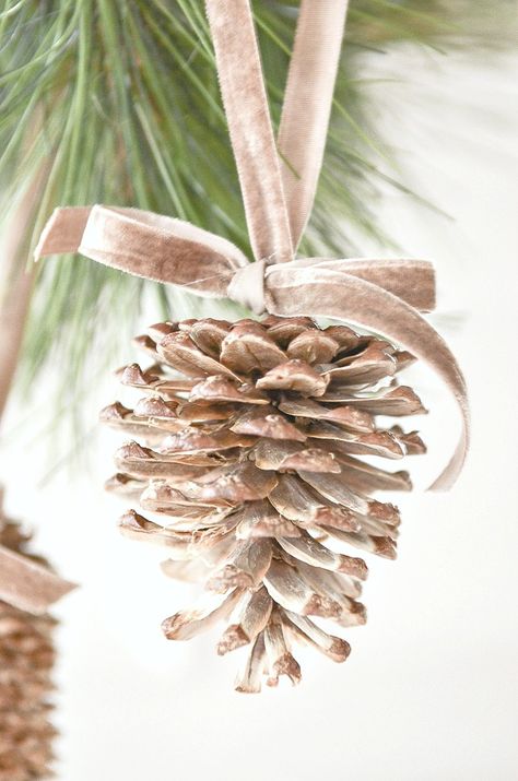 BLEACHED PINECONES - StoneGable Bleached Pinecones, Bleach Pinecones, Cone Ideas, Evergreen Christmas, Penguin Crafts, Family Projects, Diy Pinecone, Natural Christmas Decor, Sustainable Christmas