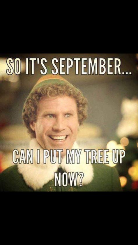 Buddy the Elf. So it's September...can I put my tree up now? 😂🎄🎉🎅🏻 Buddy The Elf Meme, Christmas Memes, Teacher Memes, Michael Phelps, Buddy The Elf, Young Life, Humor Memes, Rodan And Fields, Teacher Humor