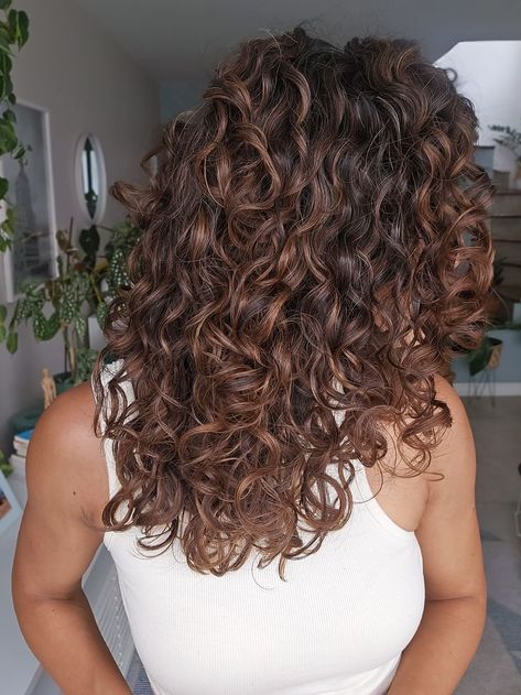 Low Lights On Curly Brown Hair, Curly Brown Hair With Caramel Highlights, Lowlights For Curly Hair, Curly Hair Copper Highlights, Curly Hair Fall Color Ideas, Pintura Highlights Curly, Balayage Curly Hair, Curly Balayage, Curly Balayage Hair