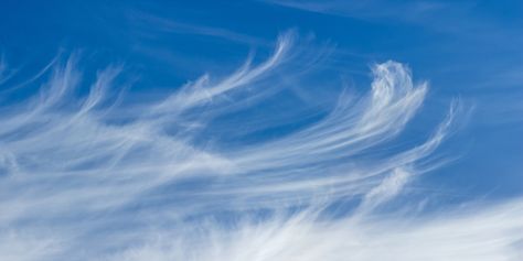 Cirrus Clouds Picture Cloud, Cirrus Cloud, Cloud Type, Nature Magic, High Clouds, Health Fair, Storm Chasing, Lighthouse Keeper, Fire Rainbow