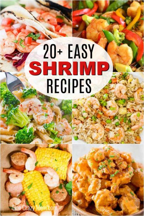 Find 20+ easy shrimp recipes that are super easy to prepare and so tasty. Dinner will be a breeze with these quick and delicious meal ideas for you to try. Quick Meals With Shrimp, Easy Cheap Shrimp Recipes, Recipes With Small Shrimp, Recipes Using Tiny Shrimp, Grilled Shrimp Meals, Uncooked Shrimp Recipes, Recipes For Pre Cooked Shrimp, Small Cooked Shrimp Recipes, Small Shrimp Recipes Simple