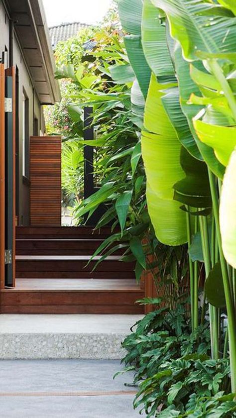 Bali Garden, Landscape Gardening, Side Yard Landscaping, Tropical Garden Design, Tropical Backyard, Tunbridge Wells, Garden Makeover, Tropical Gardens, Garden Inspo