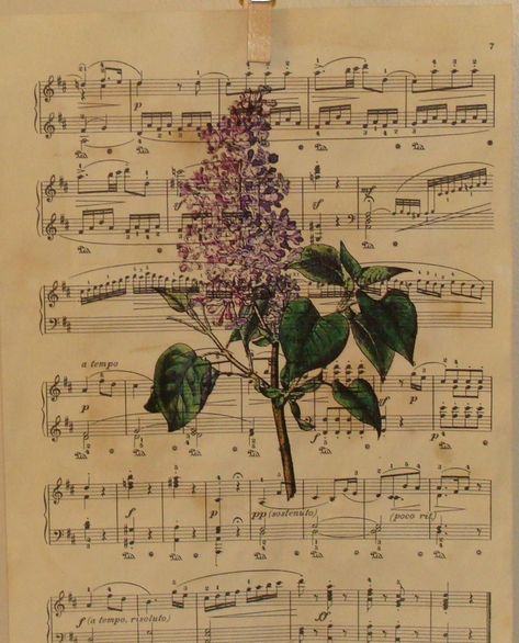 The Decorating Diaries: Make Your Own Antique Sheet Music Hymnal Art, Sheet Music Crafts, Sheet Music Art, Flower Press, Old Sheet Music, Music Crafts, Music Paper, Botanical Artwork, Pressed Flower Art