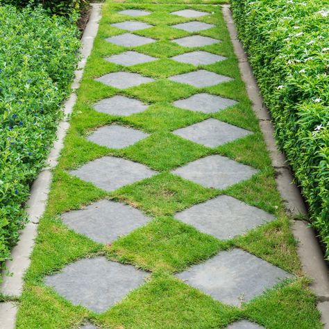 Discover how to grow lush grass between pavers for a stunning pathway landscaping design! This guide will show you how to transform your stone walkway or garden pathway into a beautiful green space. Perfect for low-maintenance landscaping and creating a serene garden cottage vibe, this method requires minimal upkeep while providing maximum impact. Whether you're looking to enhance your patio stones or simply have inspiration for your outdoor spaces, this natural approach brings a touch of nature right into your garden. Grass Between Pavers, Pavers With Grass In Between, How To Grow Grass, Grass Pavers, Pathway Landscaping, Growing Grass, Serene Garden, Stone Walkway, Low Maintenance Landscaping