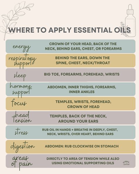 Where to Apply Essential Oils: A Comprehensive Guide — Science of Essentials Where To Apply Essential Oils, Essential Oil Education, Essential Oil Remedy, Shoulder Massage, Sense Of Smell, Magic Spell Book, Oil Remedies, Sweat Gland, Using Essential Oils