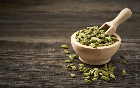 Growing Cardamom: How to Plant and Care For This Classic Spice Cardamom Benefits, Cardamom Plant, Asian Spices, Cardamom Powder, Ayurvedic Herbs, Spices And Herbs, Detox Your Body, Love Eat, Biryani