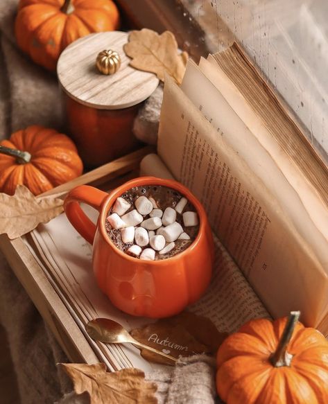 Pumpkin Spice Coffee Creamer Recipe, Homemade Pumpkin Spice Coffee Creamer, Pumpkin Spice Coffee Creamer, Homemade Pumpkin Spice Coffee, Pumpkin Hot Chocolate, Coffee Creamer Recipe, Creamer Recipe, Homemade Pumpkin Spice, Spice Coffee