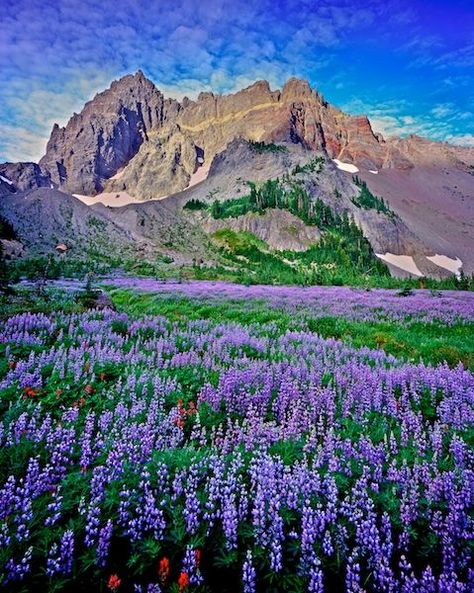 Oregon Mountains, Oregon Landscape, Sisters Oregon, Oregon Hikes, Hiking Spots, Mountain Photos, Cascade Mountains, Pretty Pics, Central Oregon