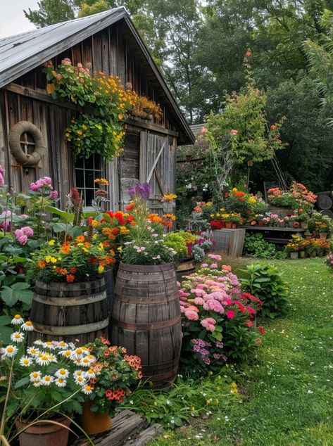 Wooden Barrels, Hidden Movie, Country Rose, Backyard Flowers, Casa Country, Backyard Greenhouse, Special Force, Backyard Sheds, Vibrant Flowers