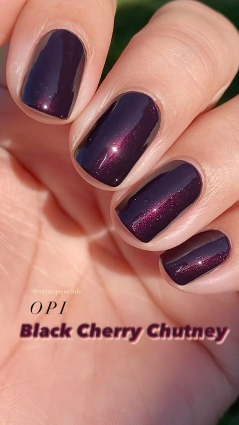 Opi Cherry Mocha, Nail Color Meaning, Nail Polish Nails, Opi Gel Polish Colors Fall, Opi Cherry Chutney, Black Cherry Chutney Opi Dip, Black Cherry Gel Nails, Black Cherry Opi, Burgundy Opi Nail Polish