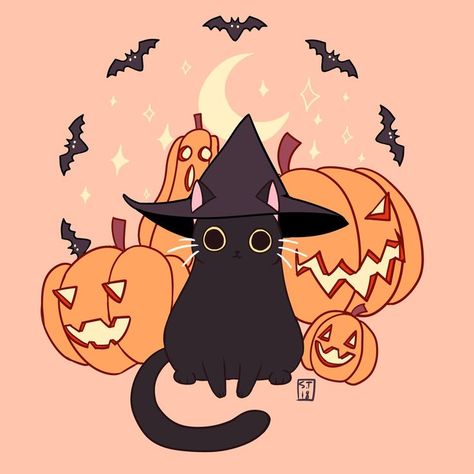 I thought we needed to get into the halloween feel! I thought this cat was perfect! Halloween Pfp, A Black Cat, A Black, Pumpkins, Black Cat, Halloween, Black