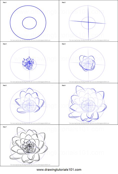 How to Draw Water Lily Flower printable step by step drawing sheet : DrawingTutorials101.com How To Draw A Water Lily, Draw Water Lily, Water Flowers Drawing, How To Draw Water Lilies, How To Draw A Water Lily Step By Step, Water Lilies Drawing, Water Lily Flower Drawing, How To Draw Lilies Step By Step, Water Lilies Drawing Simple