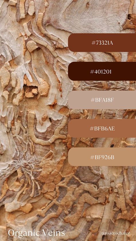 Rust And Cream Color Palette, Rustic Palette Color, Brown Color Mood Board, Orange Brown Cream Color Palette, Toffee Color Palette, Fawn Color Palette, Reddish Brown Color Palette, Sandstone Color Palette, Rust Brown Color Palette