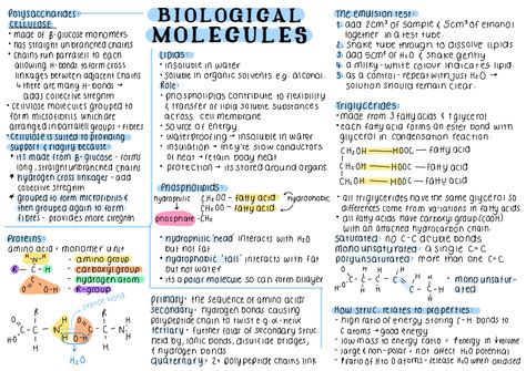 #notes #goodnotes #asthetic #alevels #ipadpro #ipadnotes #biology Chemistry Asthetic Notes, A Level Biology Notes Biological Molecules, Chemistry Of Life Biology, Bio Molecules Notes, Biological Molecules A Level, Alevel Bio Notes, Goodnotes Biology Notes, Biological Molecules Notes, Biology Alevel Notes