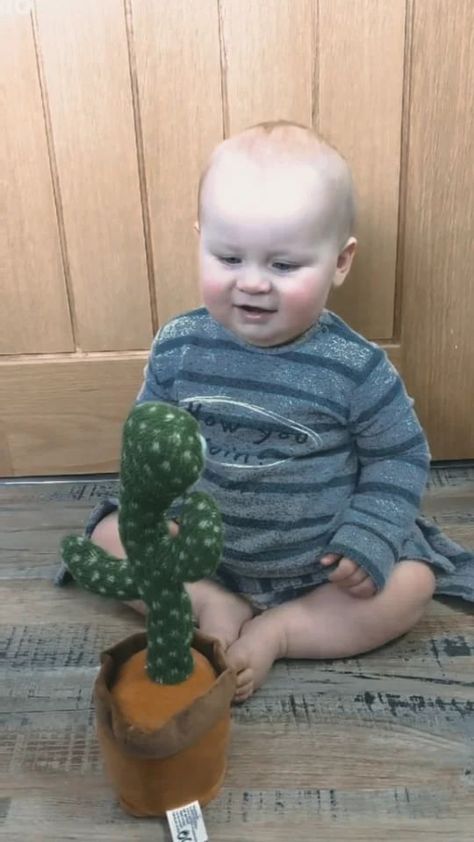 RealRahiBoss.K❤R💛M#BORN_TO_WIN’s Instagram profile post: “Wait for end 😅😁 baby reaction 😂 #reels #viral #trending #reelsvideo #reelitfeelit #reelkarofeelkaro #repost #feelkaroreelkaro #feed…” Cactus Toy, Dancing Cactus, Talking Toys, Voice Recording, Baby Memes, Dad Baby, Funny Toys, Cute Funny Babies