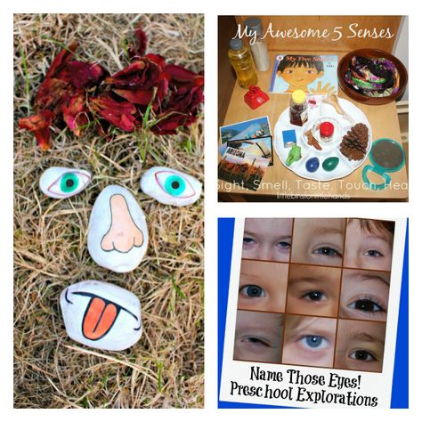 five senses preschool all about me theme All About Me Ideas, All About Me Science, About Me Ideas, All About Me Eyfs, Preschool All About Me, All About Me Topic, All About Me Theme, All About Me Preschool Theme, September Preschool