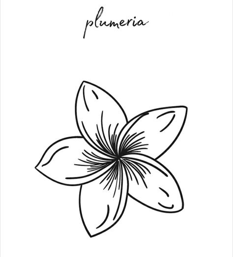 Small Tattoos Flower, Frangipani Tattoo, Hawaiian Flower Tattoos, Flower Stencils, Botanical Line Drawing, Hawaiian Flower, Flower Stencil, Hawaiian Flowers, Cool Ideas