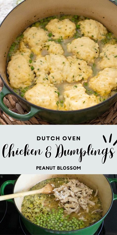 Make the perfect chicken and dumplings in a Dutch oven right on your stovetop in under 30 minutes with these easy prep tips. Cozy chicken stew topped with fluffy dumplings made from buttermilk and seasoned with fresh chives. Classic comfort food you'll make for your family again and again. Chicken And Dumplings Dutch Oven, Chicken And Dumplings In Dutch Oven, Easy Chicken And Dumplings On Stove, Chicken And Dumplings Dutch Oven Easy, Chicken And Dumplings No Veggies, Freezer Meal Chicken And Dumplings, Dutch Oven Chicken And Dumplings, Oven Chicken And Dumplings, Guy Food