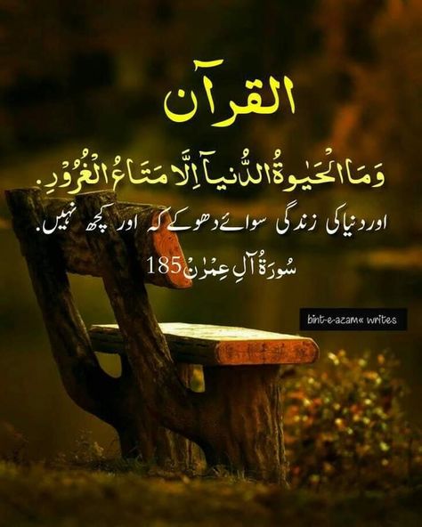 Qurani Ayat With Urdu Translation, Ayat With Urdu Translation, Qurani Ayat, Quran Ayat, Hazrat Ali Sayings, Darood Pak, Islam Quotes About Life, Good Morning Love Messages, Quran Book