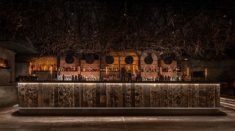 Bar Reception Desk, Nature Restaurant, Wine Factory, Counter Detail, Italian Fine Dining, Restaurant Lighting Design, Asian Grill, Bar Reception, Mixology Bar