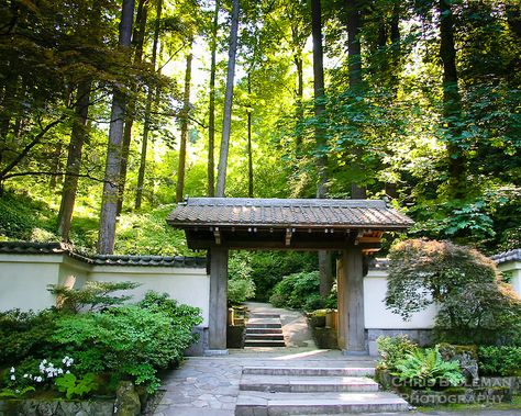 Japanese Garden Entrance, Japanese Garden Gate, Japanese Walkway, Japanese Gates Entrance, Entrance Gateway, Japanese Entrance, Japanese Fence, Japanese Inspired Home, Resort Interior Design