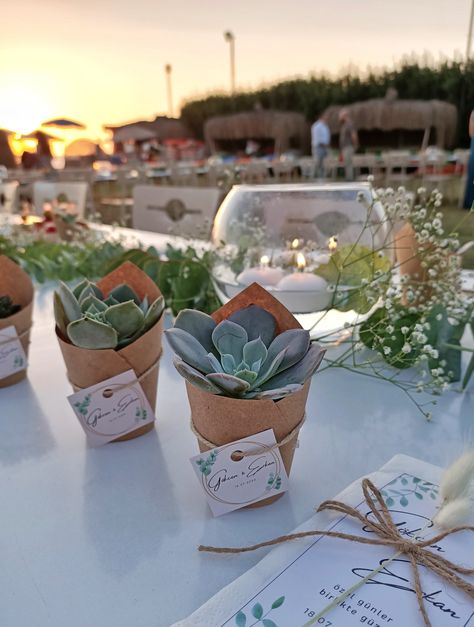 Favor Display, Succulent Favors, Succulents Decor, Wedding Gift Favors, Succulent Pots, First Communion, Holidays And Events, Party Gifts, Wedding Favors