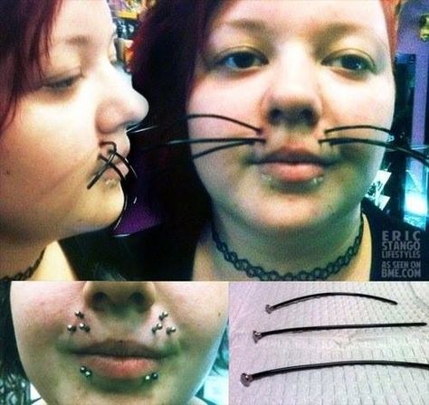 Bizarre Photos, Nose Piercings, Body Modification, Body Modifications, Body Mods, Really Funny Pictures, Funny Laugh, Reaction Pictures, Mood Pics