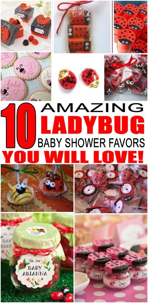 Bug Baby Shower, Baby Shower Favor Ideas, Best Baby Shower Favors, Baby Shower Favours For Guests, Ladybug Baby Shower, Ladybug Baby, Unique Baby Shower Favors, Ladybug Birthday Party, Baby Ladybug