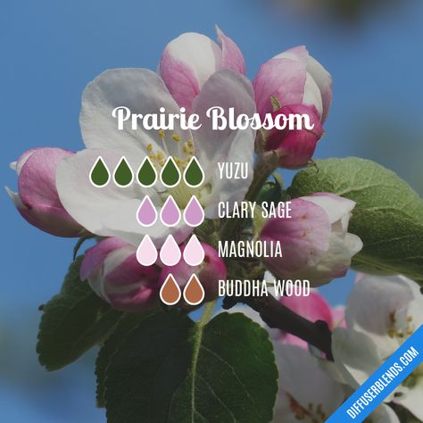 Prairie Blossom — Essential Oil Diffuser Blend Joy Essential Oil, Jasmine Perfume, Essential Oil Diffuser Blends Recipes, Perfume Recipes, Yl Essential Oils, Oil Diffuser Recipes, Essential Oil Diffuser Recipes, Essential Oil Mixes, Essential Oil Blends Recipes