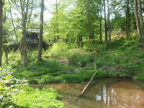 View of wolverine enclosure (May 2nd, 2015) Wolf Enclosure, Wolverines Animal, Wildlife Rehabilitation Enclosures, Wolverine Behind The Scenes, Zoo Boo, Wolverine Origins Movie, Zoo Architecture, Wolf Conservation Center, Timber Wolf