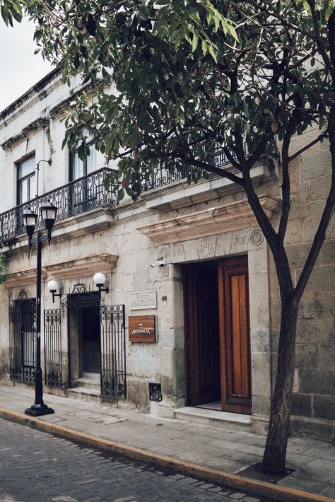 Casa Antonieta in Oaxaca, Mexico was once the owner's grandmother's house. Now it's a chic, six-room hotel. Oxaca Mexico, Oaxaca Mexico Travel, Tall Potted Plants, Cement House, Luxury Concierge, Mexican Hacienda, Acapulco Chair, Grandmother House, Oaxaca City