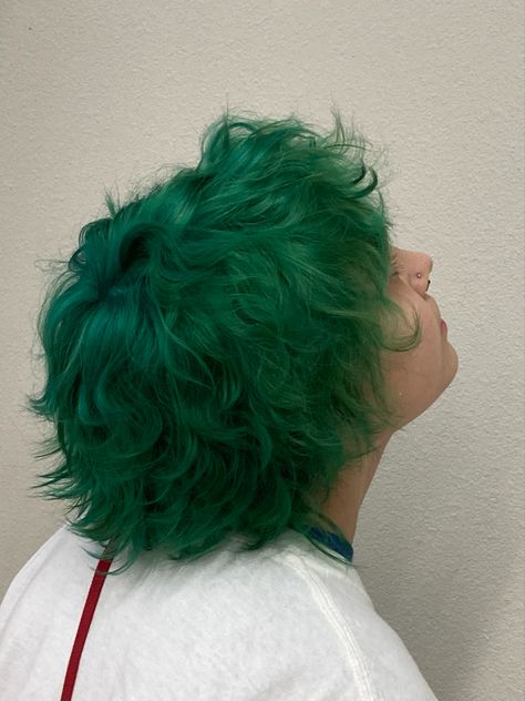 Long Green Hair Men, Dark Green Mens Hair, Short Fluffy Green Hair, Green Short Hair Men, Green And Black Hair Men, Sage Green Hair Dye, Mens Green Hair, Green Hair Outfit Ideas, Short Green Hair Men