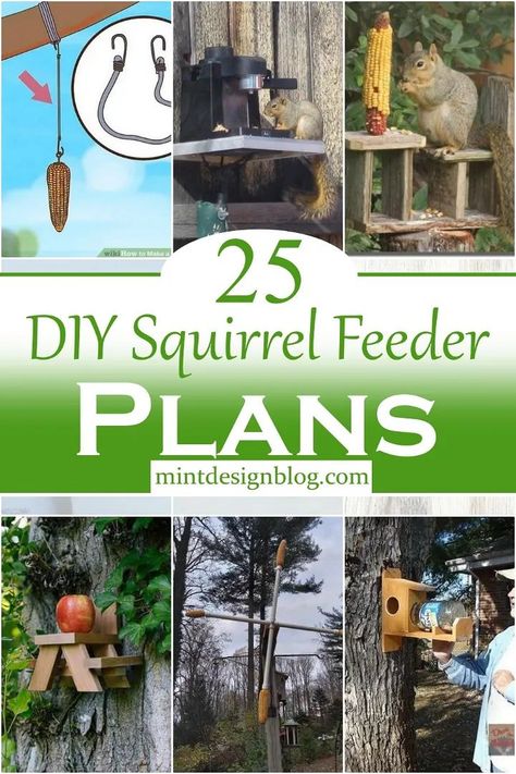 25 DIY Squirrel Feeder Plans Squirrel Feeder Plans, Diy Squirrel Feeder, Squirrel Feeder Diy, Squirrel House, Squirrel Home, Squirrel Feeders, Squirrel Feeder, Garden Crafts Diy, Diy Birds