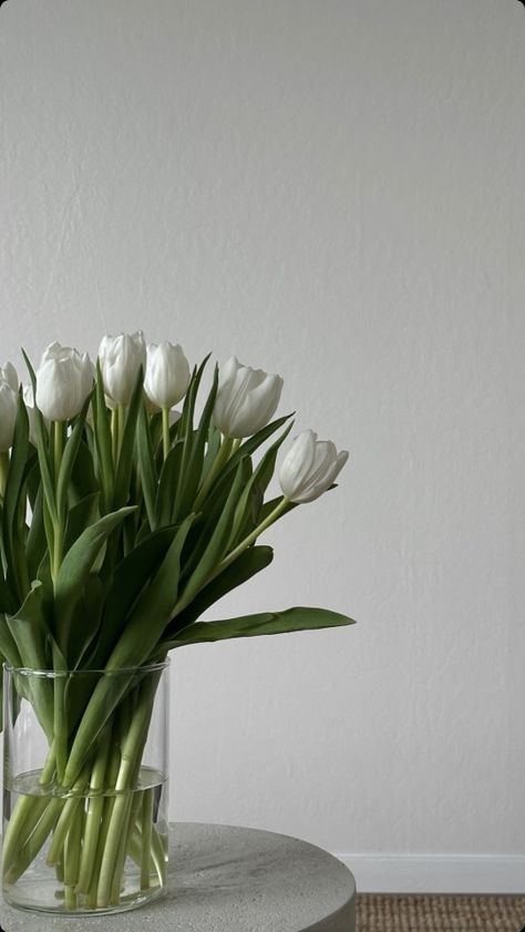 Aesthetic Branding, Coconut Coffee, Aesthetic Neutral, Tulips In Vase, Flower Therapy, White Tulips, Beautiful Flowers Pictures, Little Flowers, Beautiful Blooms