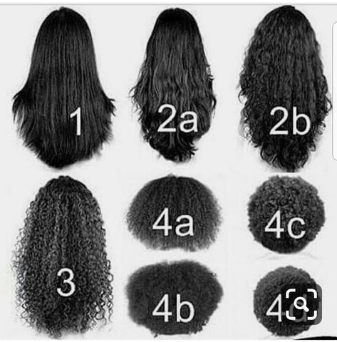 Natural Hair Growth Chart, Hair Types Chart, Hair Type Chart, Hair Chart, Type Chart, Puffy Hair, Color Wigs, Hair Length Chart, Lifeless Hair