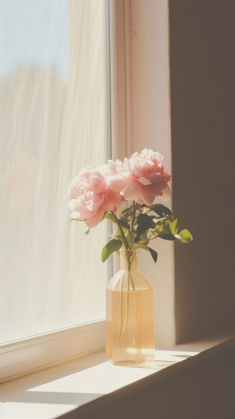 Flower in the vase by the window windowsill wall pink.  | premium image by rawpixel.com / Adjima Rose Flower Wallpaper Aesthetic, Iphone Wallpaper Roses, Wallpaper Rose Flower, Flower In The Vase, Roses Iphone Wallpaper, Flower Photoshoot Editorial, Flower Wallpaper Aesthetic, Wallpaper Iphone Roses, Wallpaper Rose