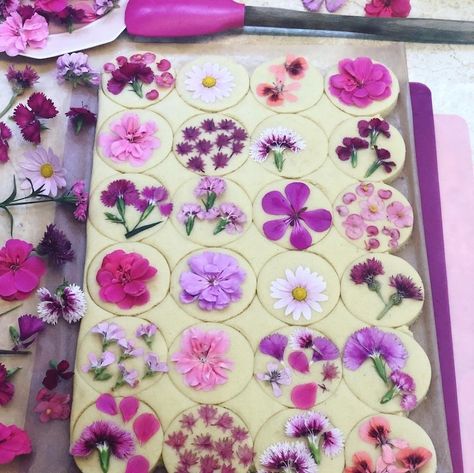 Biscuit Decoration, Edible Flowers Recipes, Matcha Cookies, Dandelion Jelly, Healthy Vegan Snacks, Pretty Dessert, Pretty Cookies, Dandelion Recipes, Flower Cookies