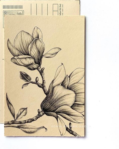 Flower Drawing Detailed, Fineliner Flowers, Sketchbook Flowers, Floral Illustration Art, Canvas Art Painting Acrylic, Pen Art Work, Doodle Art Flowers, Stippling Art, A Level Art Sketchbook