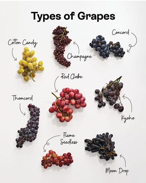 Grape Juice Benefits, Types Of Grapes, Grape Types, Grape Pie, Cotton Candy Grapes, Champagne Grapes, Grape Vine Plant, Cotton Candy Champagne, Types Of Fruit