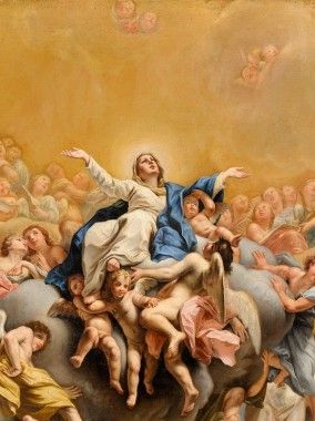 Hail Holy Queen, Assumption Of Mary, Catholic Pictures, Queen Of Heaven, Divine Mother, Blessed Mother Mary, Biblical Art, Holy Mary, Blessed Virgin