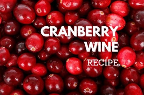 Mead Recipes, Growing Hops, Drinks With Cranberry Juice, Wine Making Recipes, Homemade Wine Recipes, Wine Ingredients, Mead Recipe, Cranberry Wine, Peach Wine