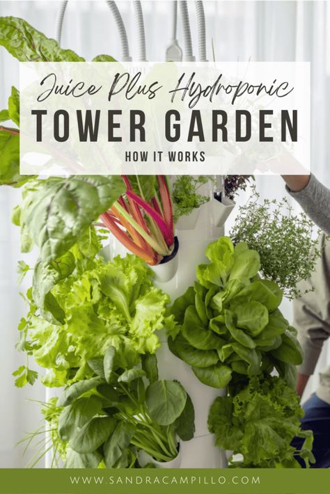 Garden Works, Tower Garden, Juice Plus, Help The Environment, Veg Garden, Holistic Wellness, Healthy Living Lifestyle, Hydroponics, Healthy Lifestyle