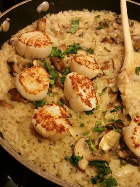 Scallop Risotto Recipes, Truffle Risotto Recipe, Mushroom Truffle, Truffle Oil Recipes, Gordon Ramsey Recipes, Gordon Ramsay Recipe, Pan Seared Scallops, Hell’s Kitchen, Seared Scallops