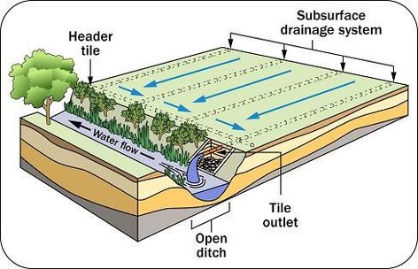 Water Engineering, Surface Drainage, Landscape Engineer, Green Infrastructure, Yard Drainage, Steel Architecture, Slope House, Healthy Soil, Regenerative Agriculture