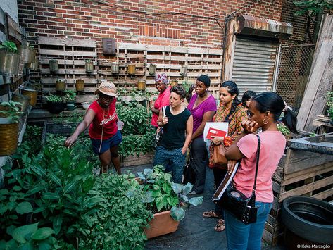 Beyond Food: Community Gardens as Places of Connection and Empowerment Community Life, Community Photography, Community Garden Aesthetic, Green Community, Community Projects, Community Design, Environment Activist Aesthetic, Urban Community Garden, Intentional Communities